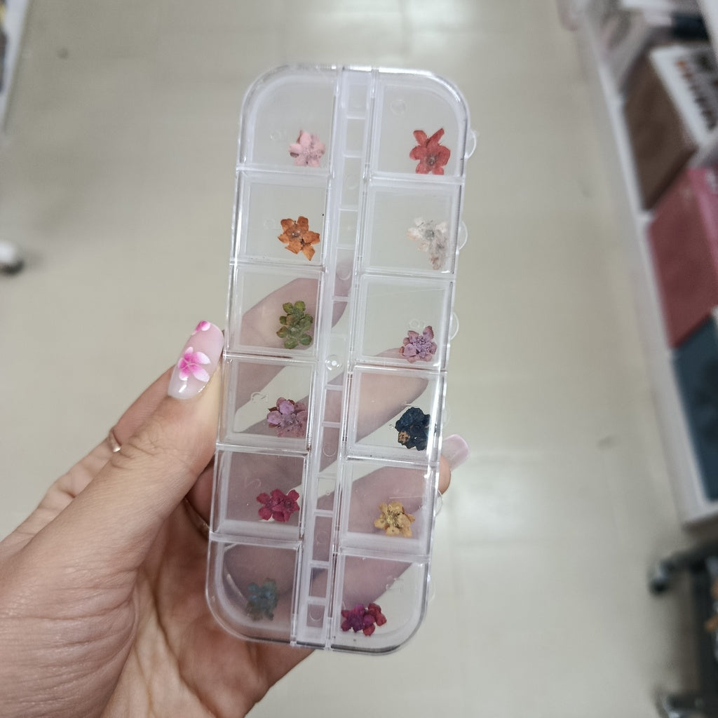Pack de Naturaleza muerta flores y hojas