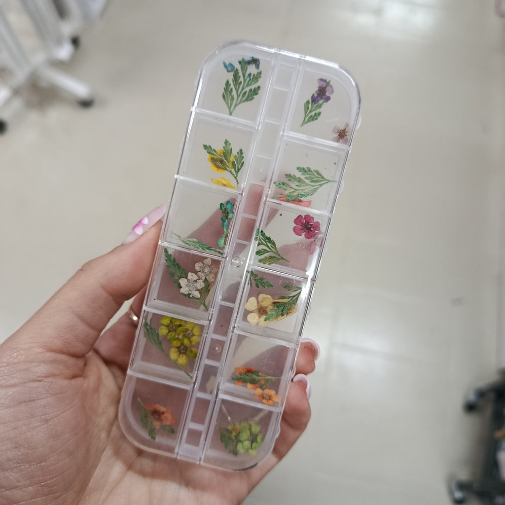 Pack de Naturaleza muerta flores y hojas