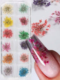 Pack de Naturaleza muerta flores y hojas