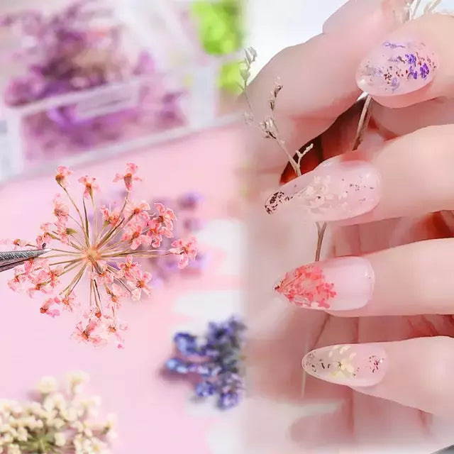 Pack de Naturaleza muerta flores y hojas