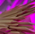 Palitos de naranjo