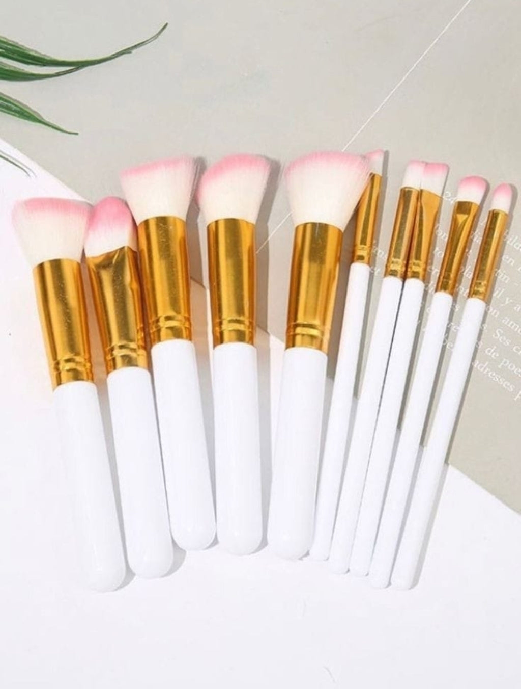 Kit de brochas x10