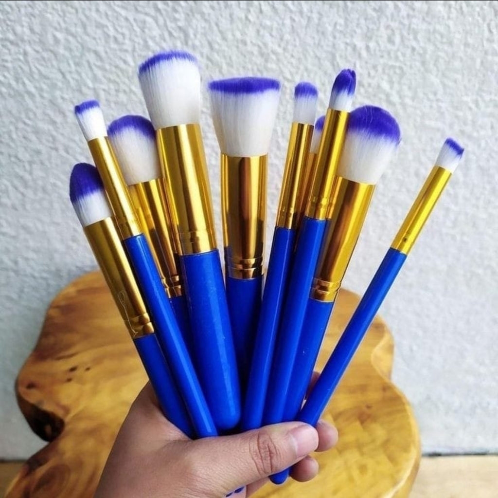 Kit de brochas x10