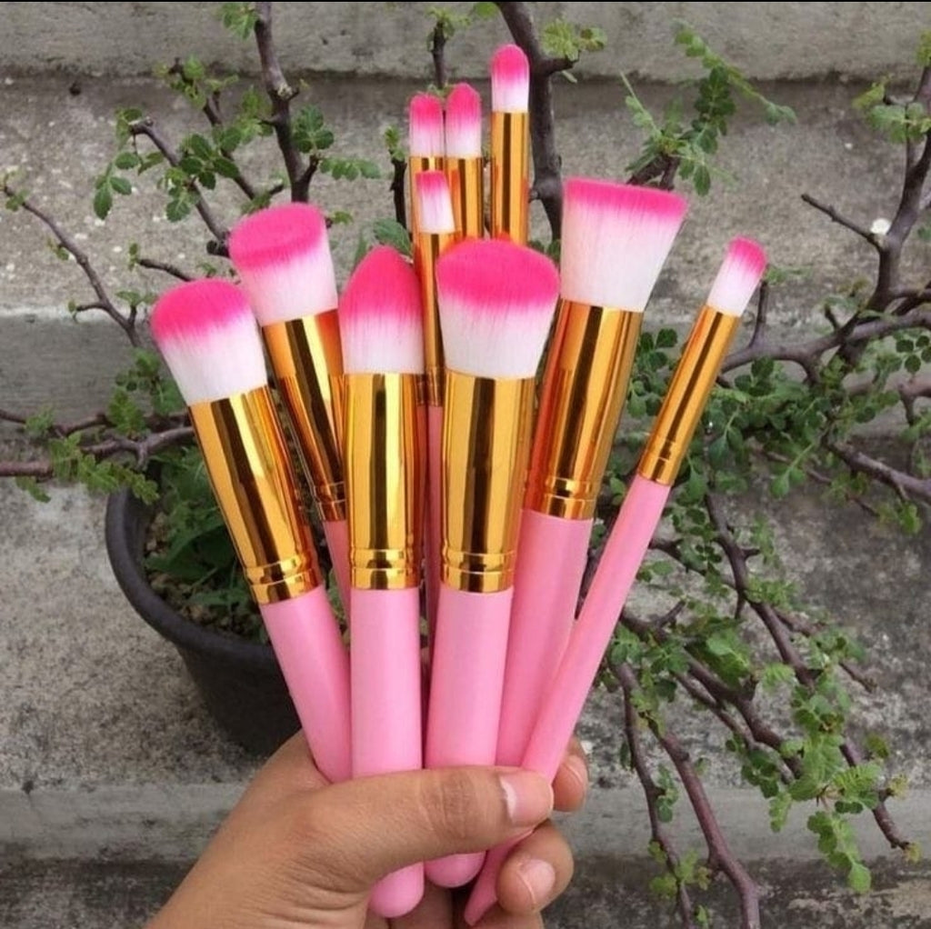 Kit de brochas x10