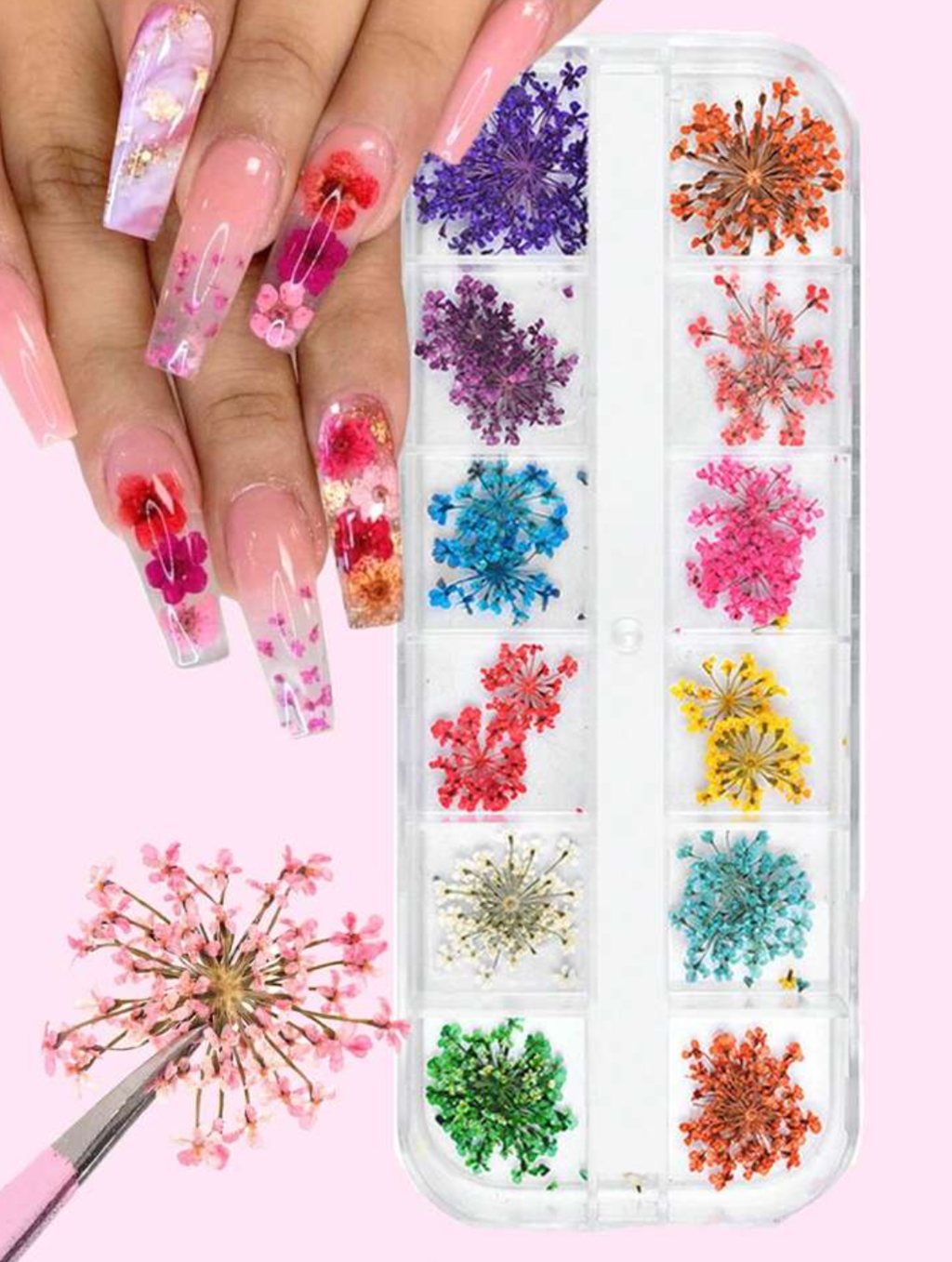Pack de Naturaleza muerta flores y hojas