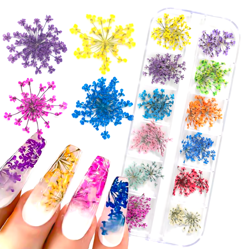 Pack de Naturaleza muerta flores y hojas